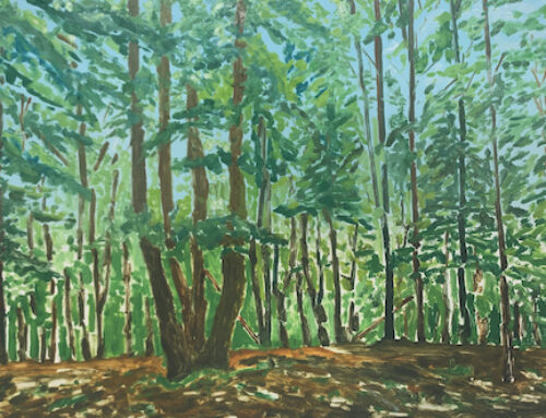 Ted Braggins